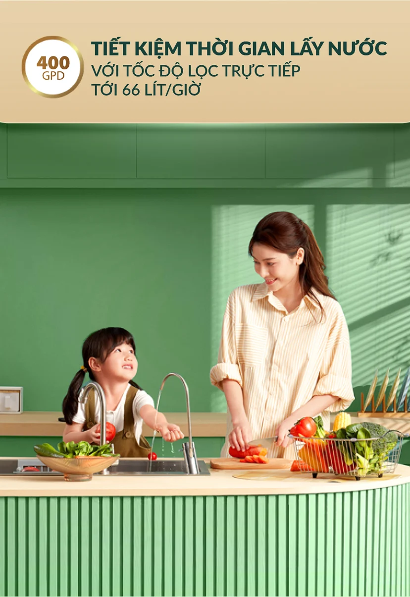 Máy lọc nước A.O.Smith S400